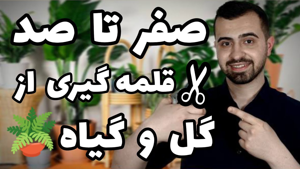 صفر تا صد قلمه گیری از گل و گیاه🪴 | چرا قلمه های ما خراب میشه؟ | راز های تکثیر گیاهان در منزل 🤯