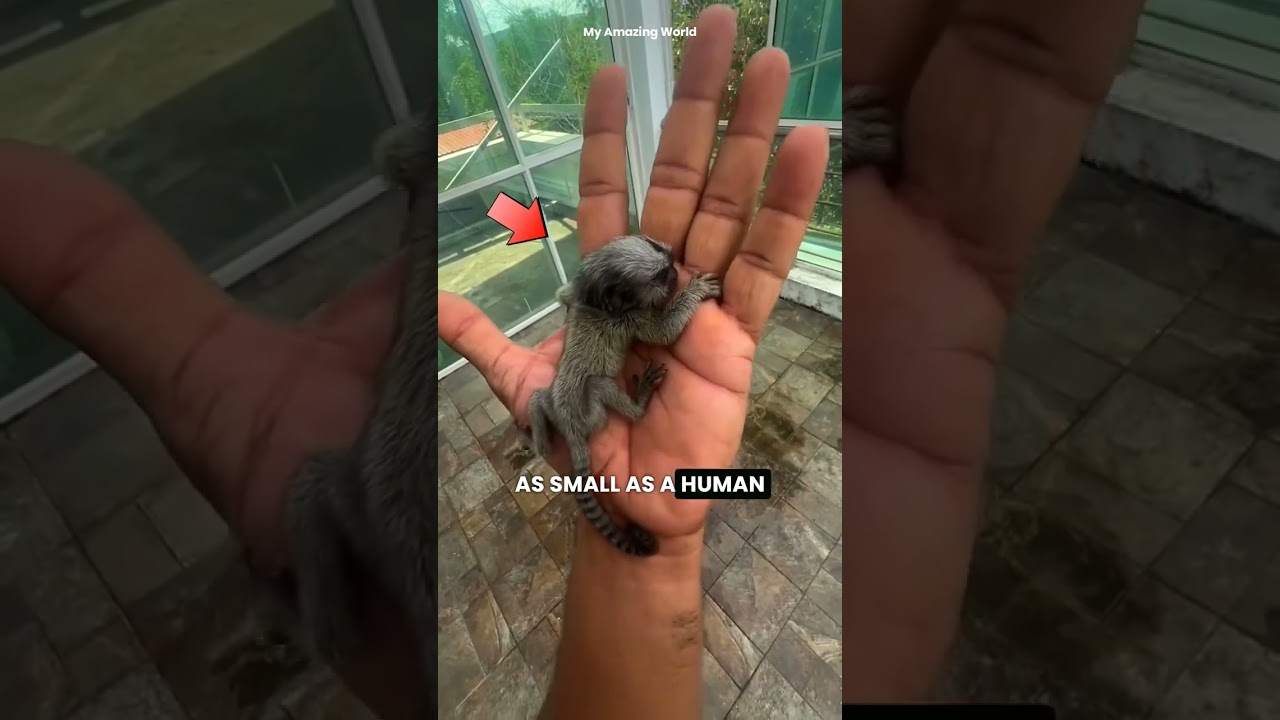 10 Mind-Blowing Animal Facts You&rsquo;ve Never Heard Before! #AnimalFacts #Nature #Wildlife