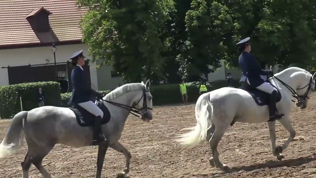 250531 KLADRUBY 8 Den kone  VSE
