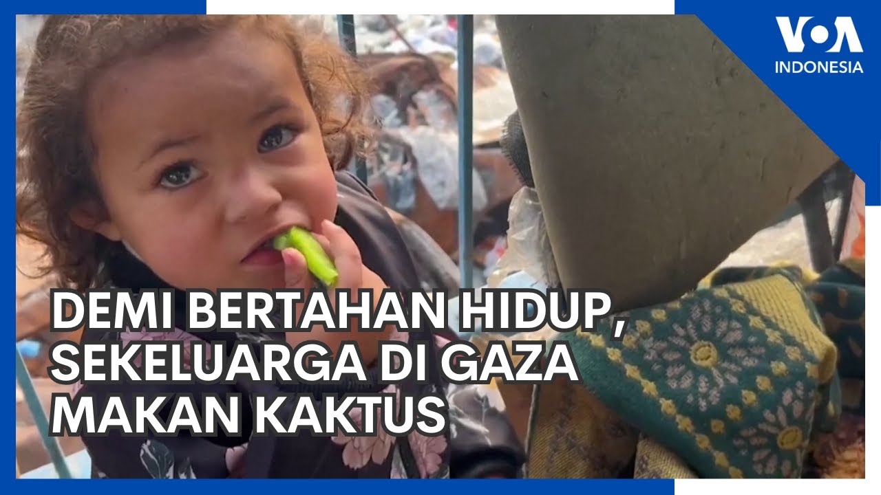 Makanan Langka, Sekeluarga di Gaza Makan Kaktus