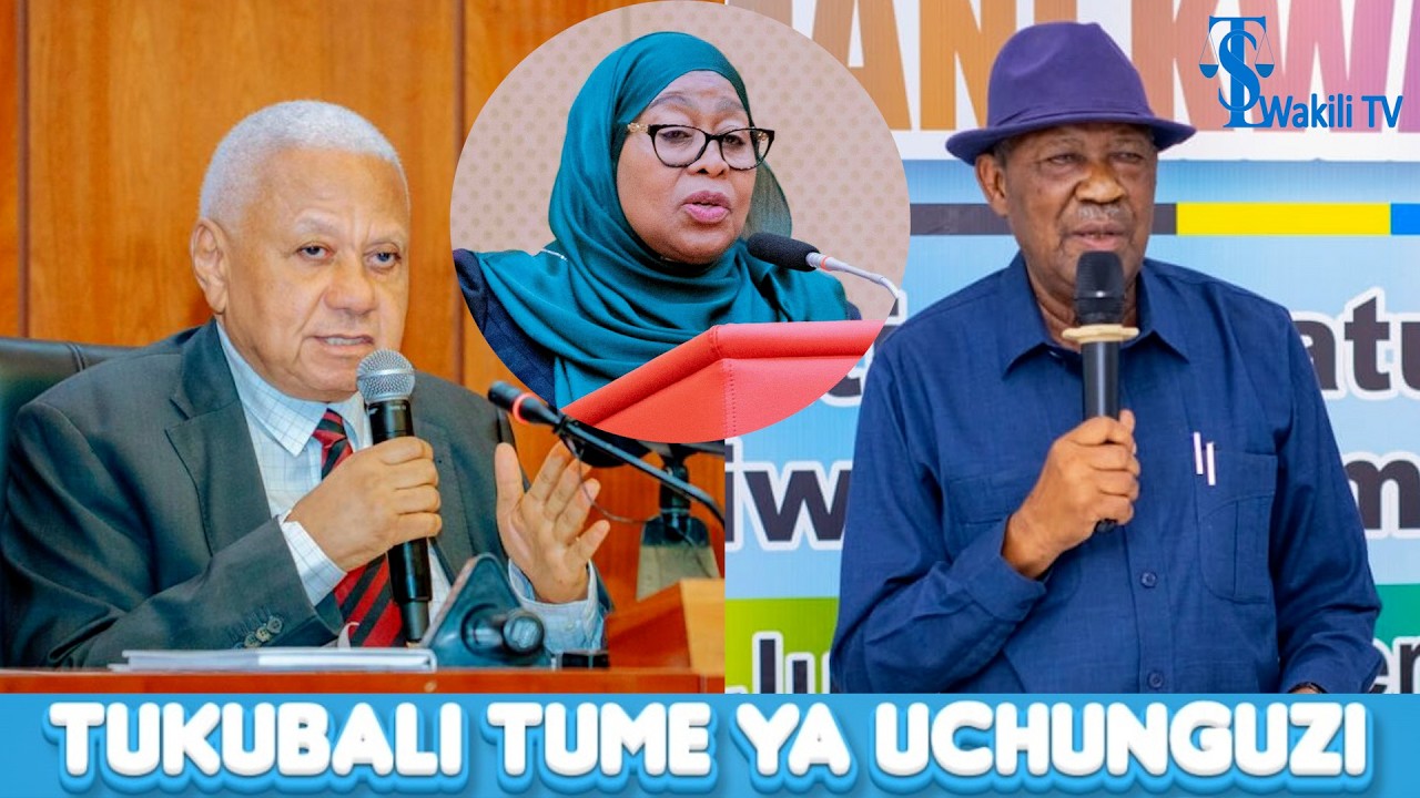 Oktoba Tulipata Msiba, Tukubali Tume ya Rais ya Uchunguzi - Joseph Butiku