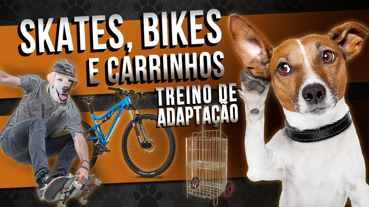 CÃES E GATOS COM MEDO DE SONS DE SKATE / CARRINHO E BICICLETAS - Dessensibilização Sistemática