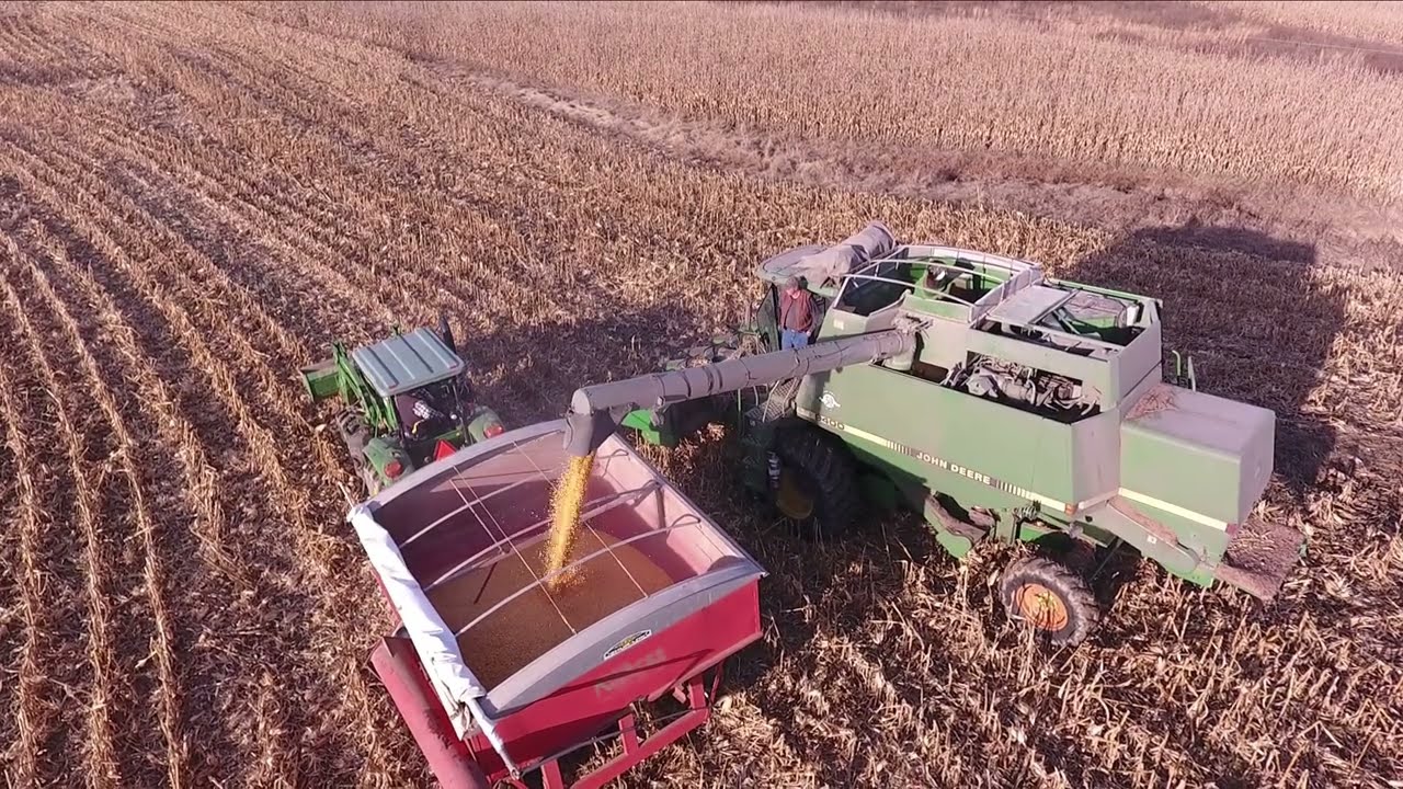 Neighbor Combining his corn field!