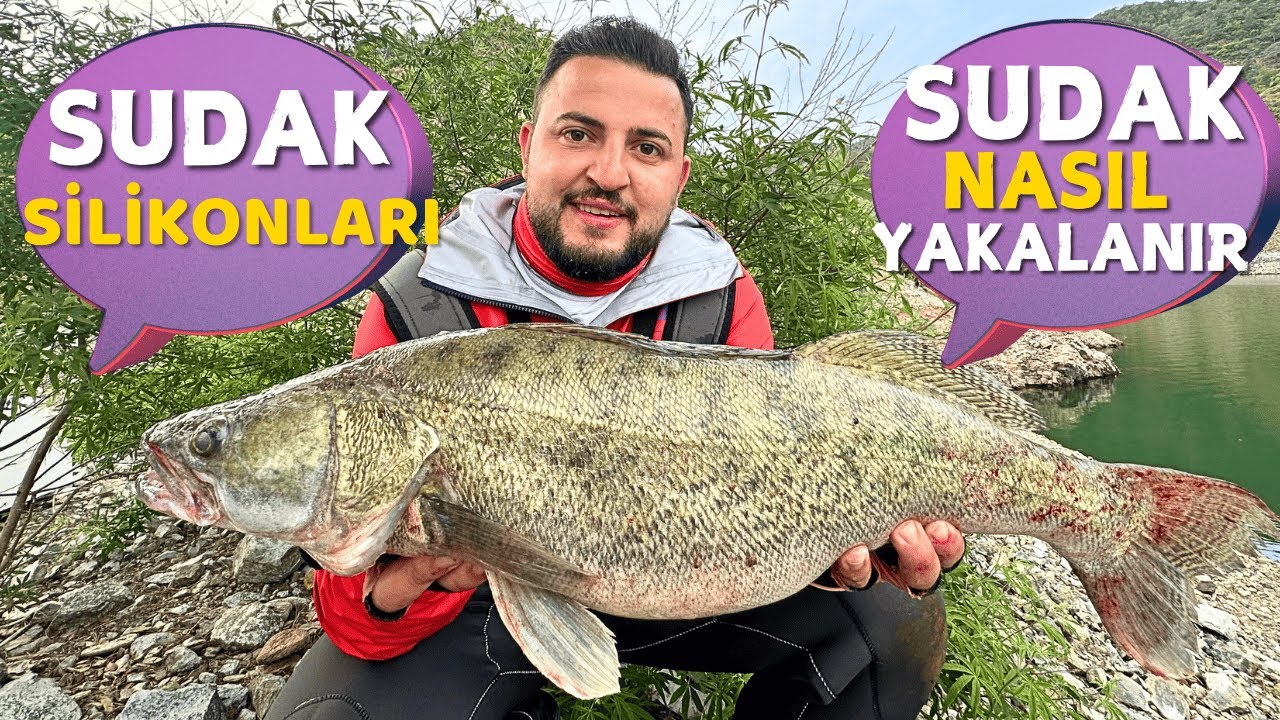 Sudak Avında Çalışan Silikonlar / Sudak Nasıl Yakalanır ?
