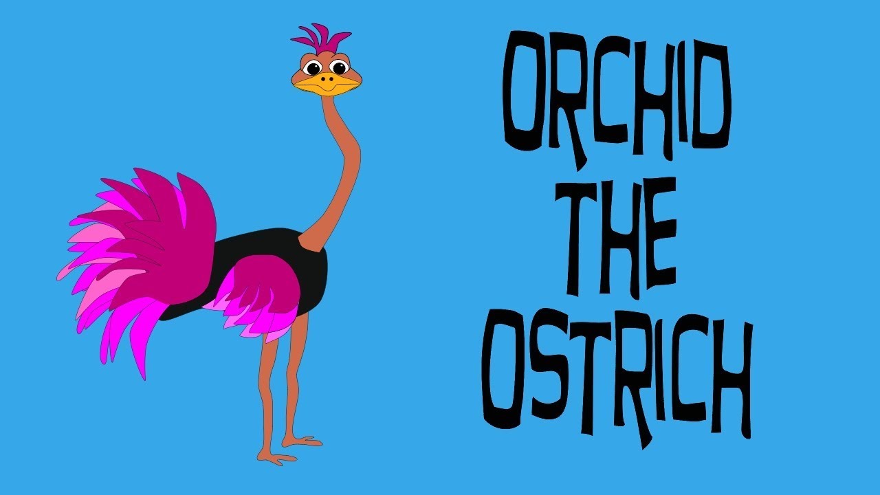 Meet Orchid Animated Video for Children
