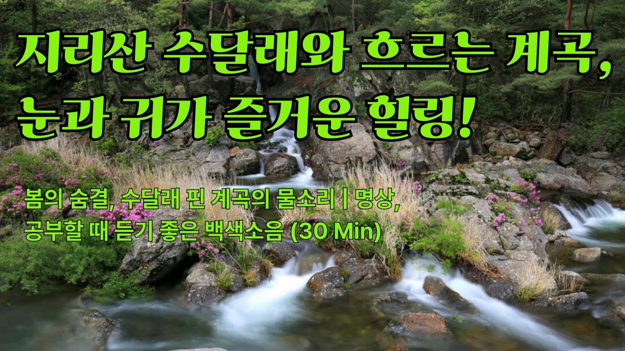 지리산 수달래계곡 물소리 멍 때리기 #치유와힐링 #자연풍경 #사진작가 #힐링여행 #수면음악 #명상 #ASMR #한국의비경
