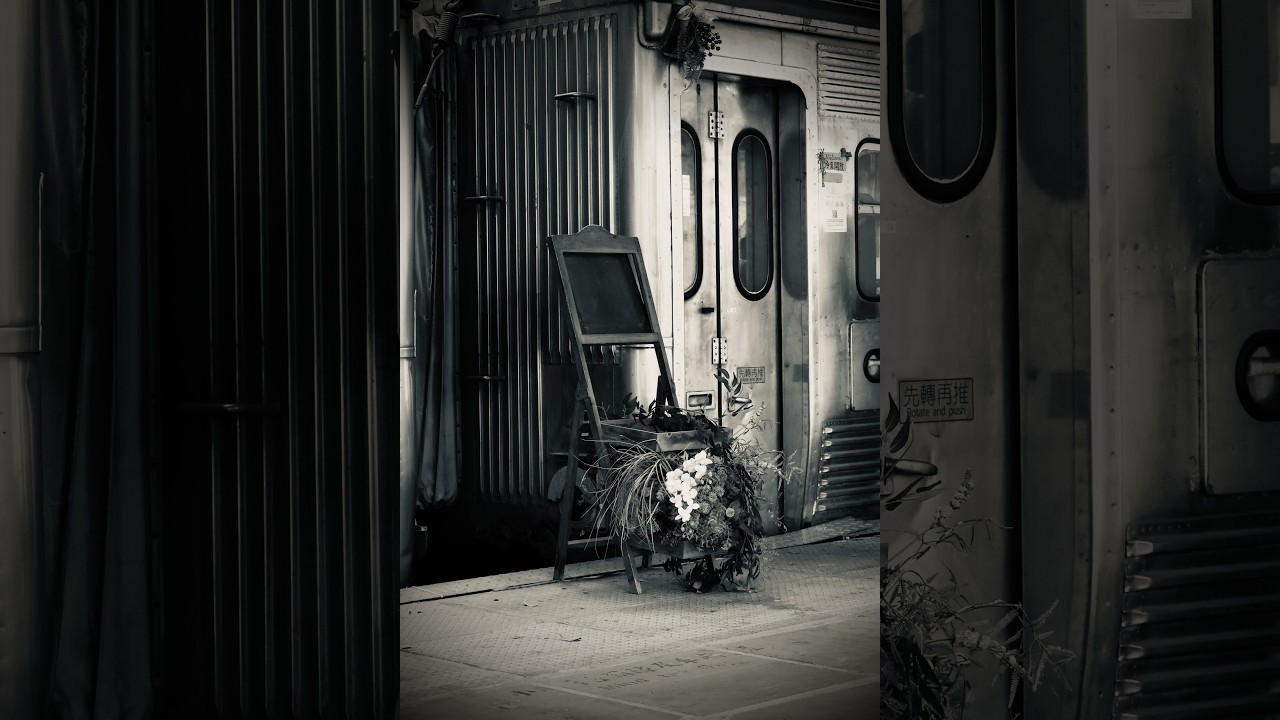 Black and white photography glimpse #blackandwhite #monochrome  #bnwphotography #bnwphotograph #bnw 