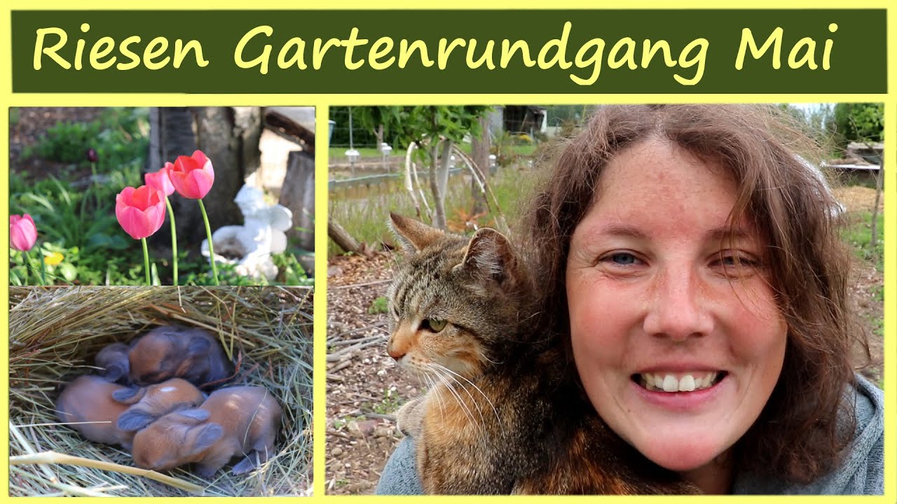 Riesen Selbstversorger Garten  Rundgang Mai 🌷🐰🐣│ Kaninchen Hühner Garten