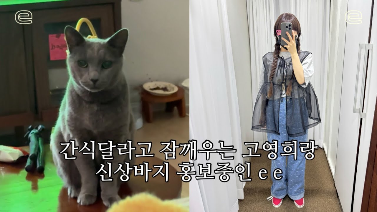 * 간식달라고 잠 깨우는 고영희랑 신상바지 홍보중인 e e