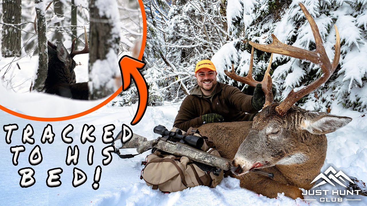 BOOM! Tracked Him in His Bed | 7-Year-Old New England Mountain Buck DOWN! | Big Woods Whitetail