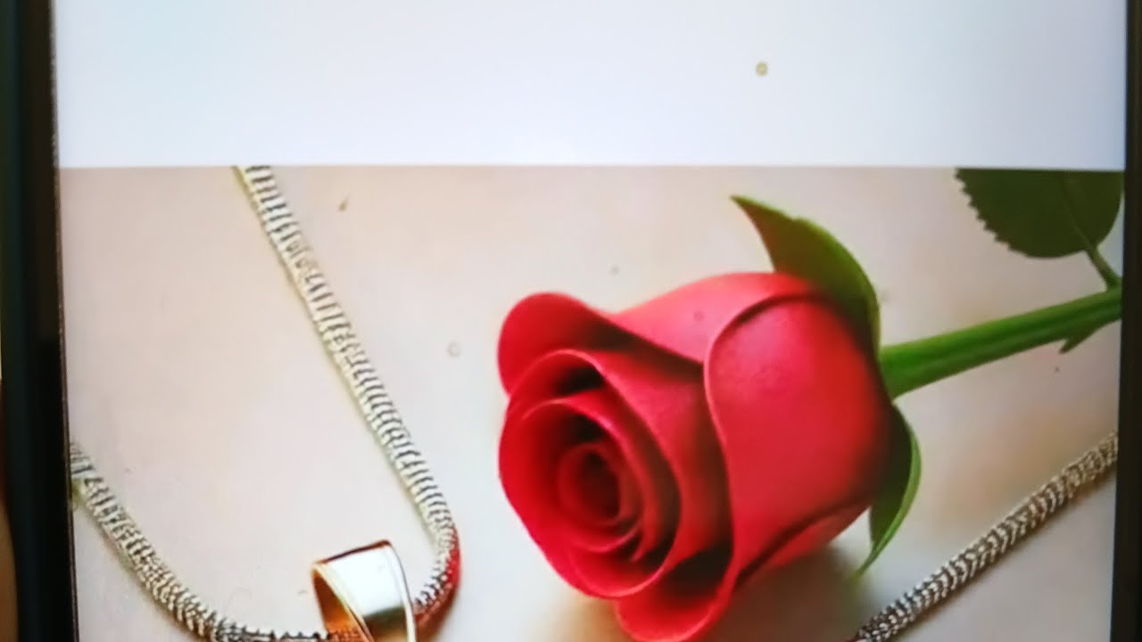 ወሎየዋ ዩቱብ  አህለን ቤተሰብ ☕🌹💫