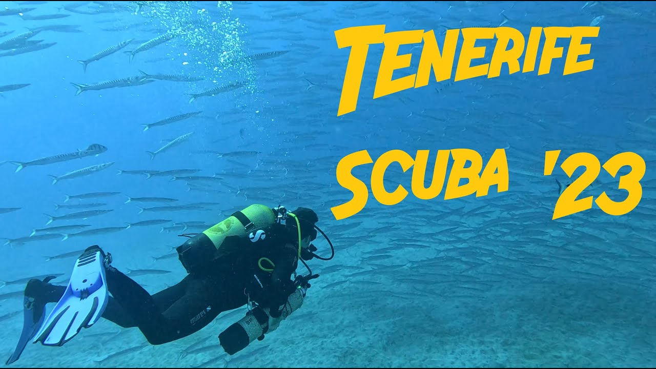 Scuba Diving - Tenerife 2023