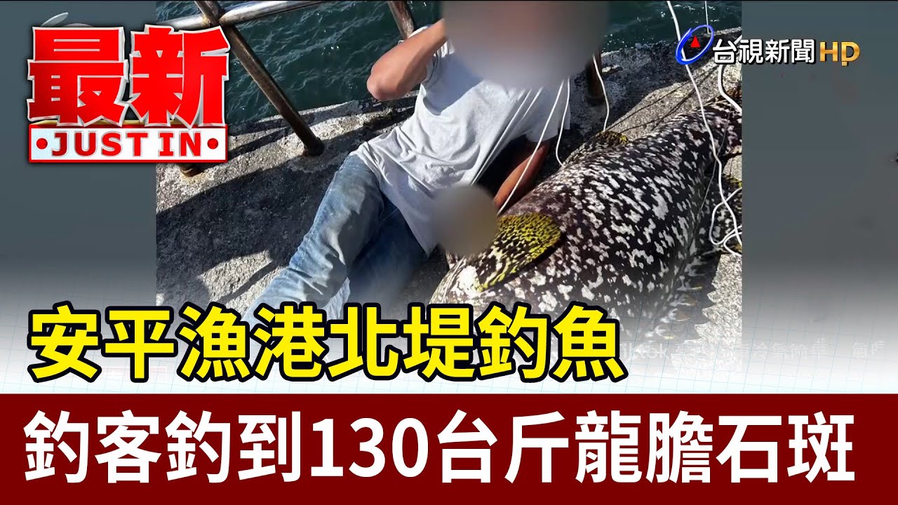 安平漁港北堤釣魚 釣客釣到130台斤龍膽石斑【最新快訊】