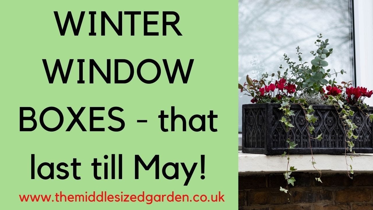 WINTER WINDOW BOXES - an evergreen structure that will last till May!