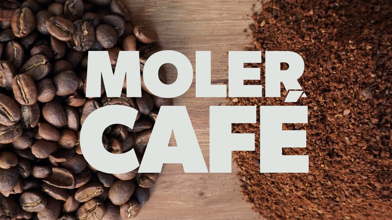 Cómo MOLER CAFÉ | Guía sobre la Molienda