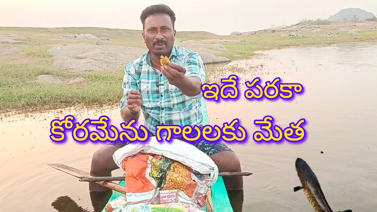 ఇదే పరక కోరమేను గాలలకు మేత పెడతాను🐬Yatala Shankar vlogs యాటల శంకర్ ఫిషింగ్ వీడియో🐟