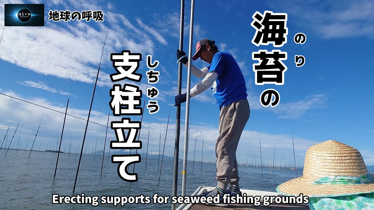 【有明海】海苔の支柱立て2024　Building pillars for seaweed fishing grounds 2024.