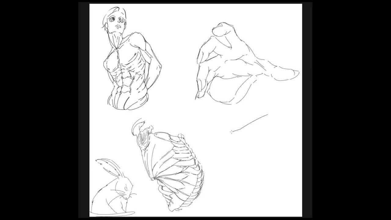 anatomy study NO MIC