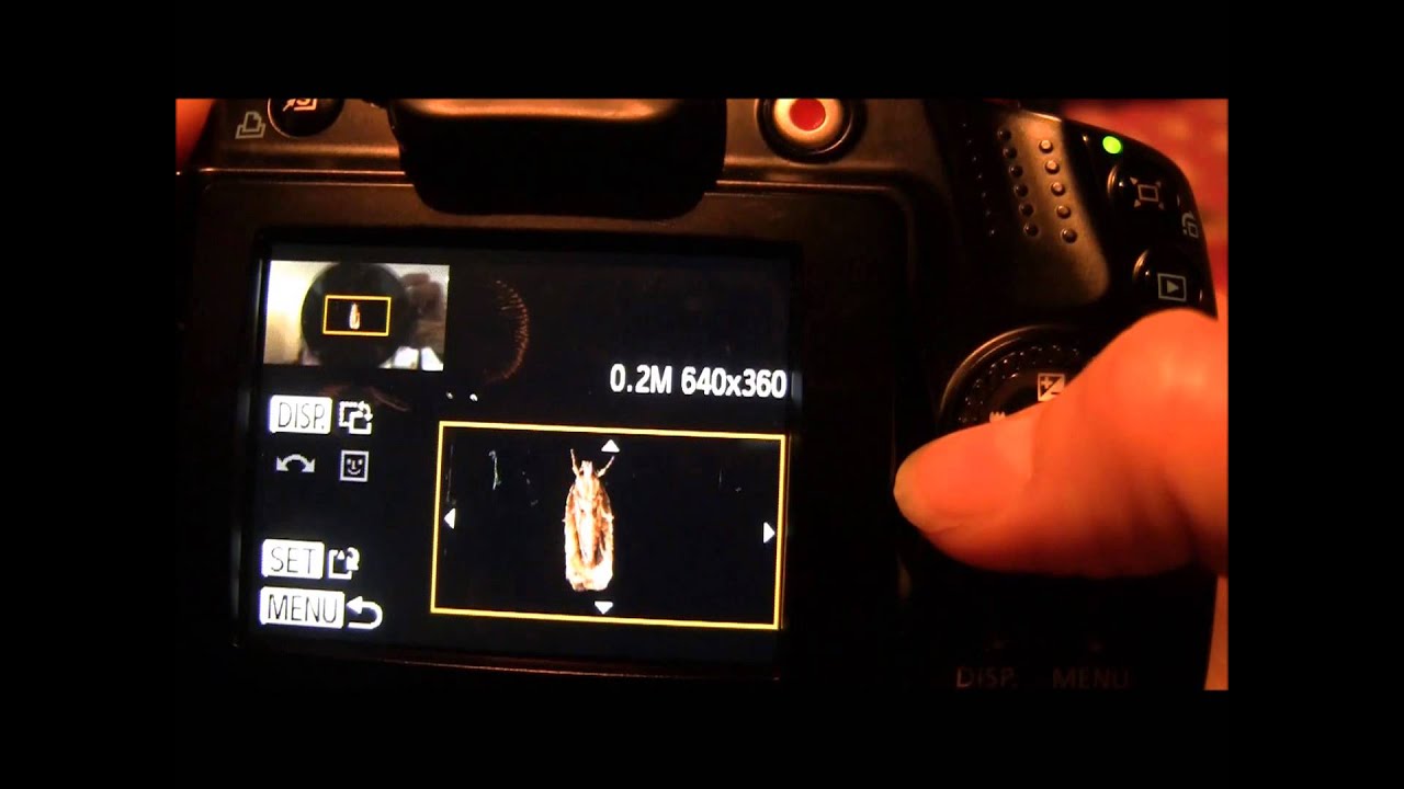 Canon Powershot SX40 HS Tutorial: Step Thirty One - Editing on the camera