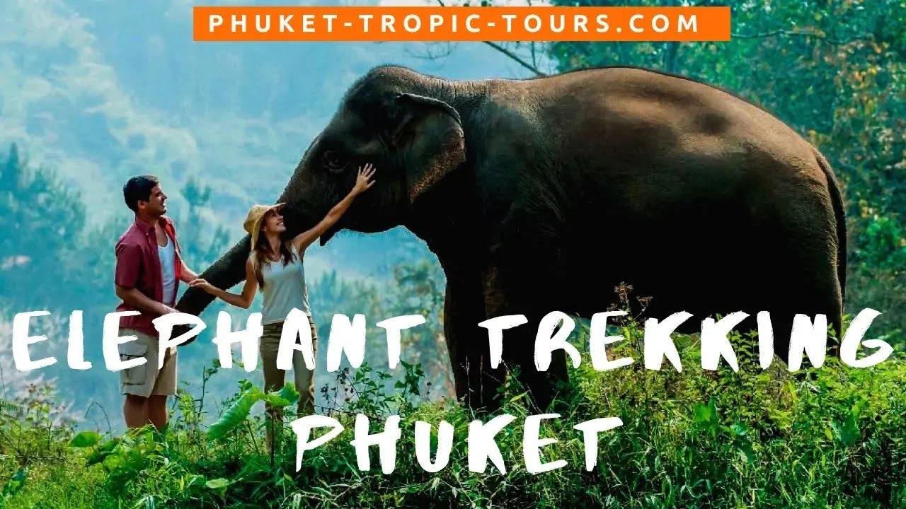 Elephant Trekking in Phuket 2025 - Tropic Tours |  Video Tour
