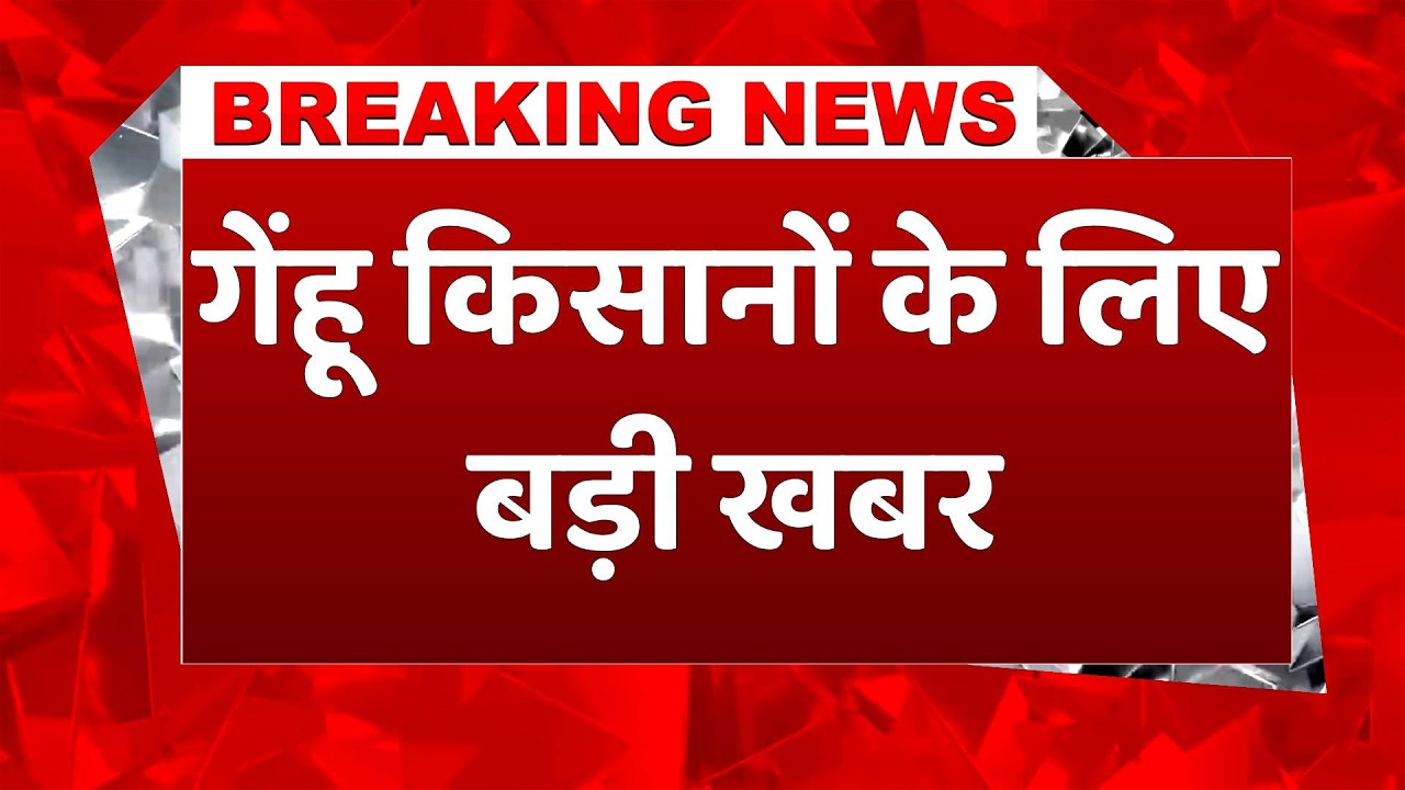 Breaking: Madhya Pradesh में इस तारीख से शुरू होंगे गेहूं खरीदी के रजिस्‍ट्रेशन #breakingnews #wheat