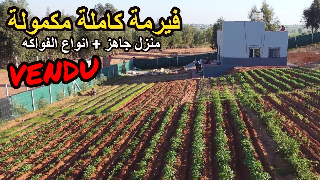 ✨الفيرمة ديالك واجدة بمنزل كبير وجميع الاشجار المثمرة قرب الغابة لاجمل حياة ✨تيفلت