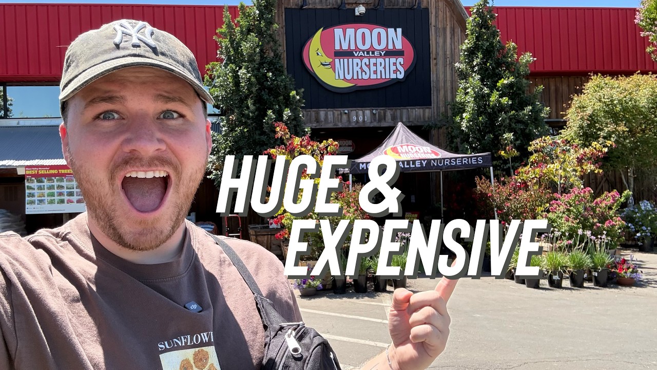Plant Shopping... But This Wasn't What I Expected