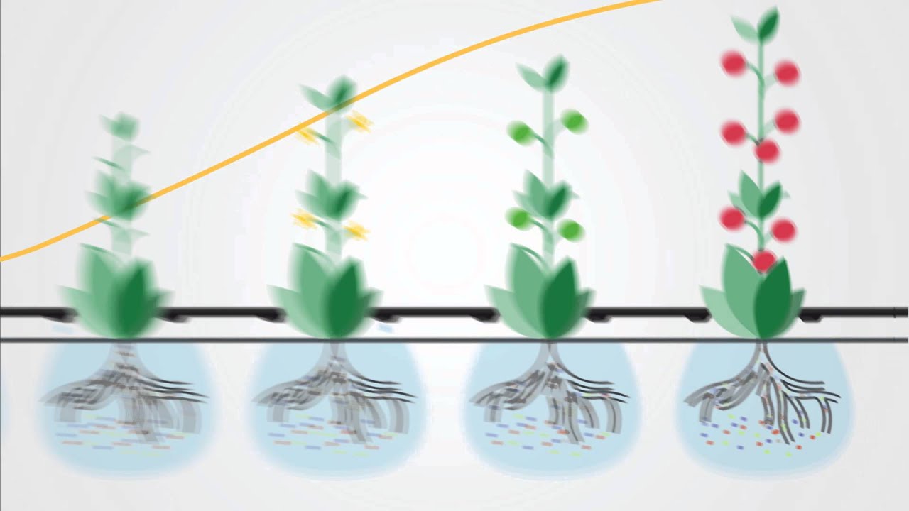 Nutrigation&trade; - The Precise Way to Feed Plants