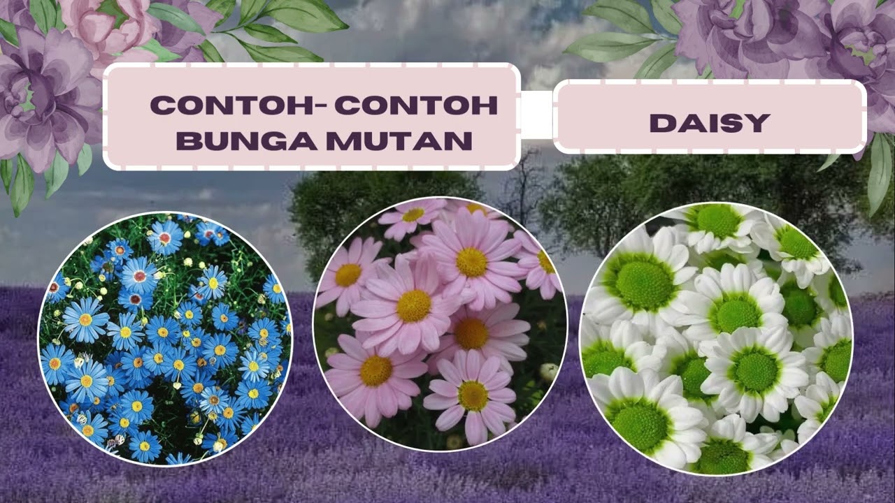 WSDG-BUNGA MUTAN