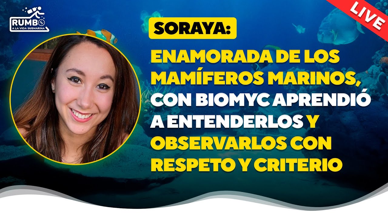 Soraya, enamorada de mamíferos marinos, con BIOMYC aprendió a entenderlos y observarlos mejor