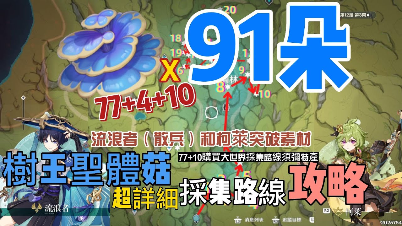 [原神採集攻略] 樹王聖體菇超詳細採集路線77+10+4須彌特產