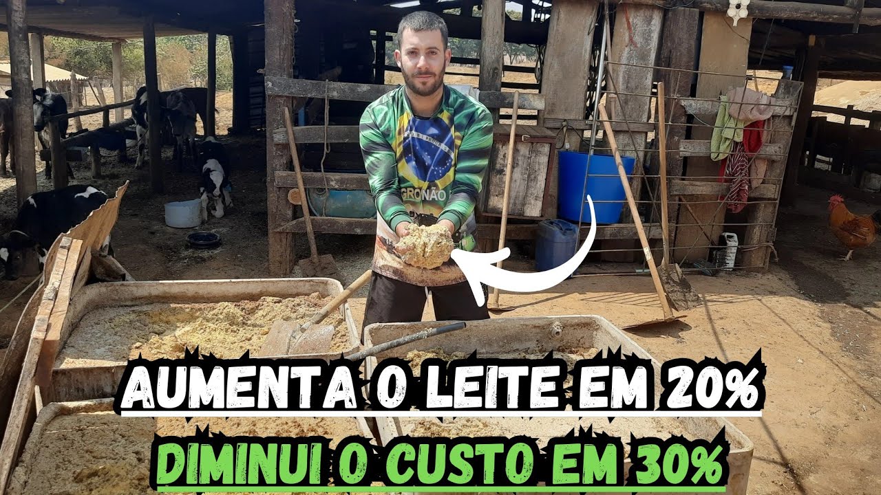 Como aumentamos o leite da nossas vacas e diminuímos nosso custo com ração.  FORMULAÇÃO.