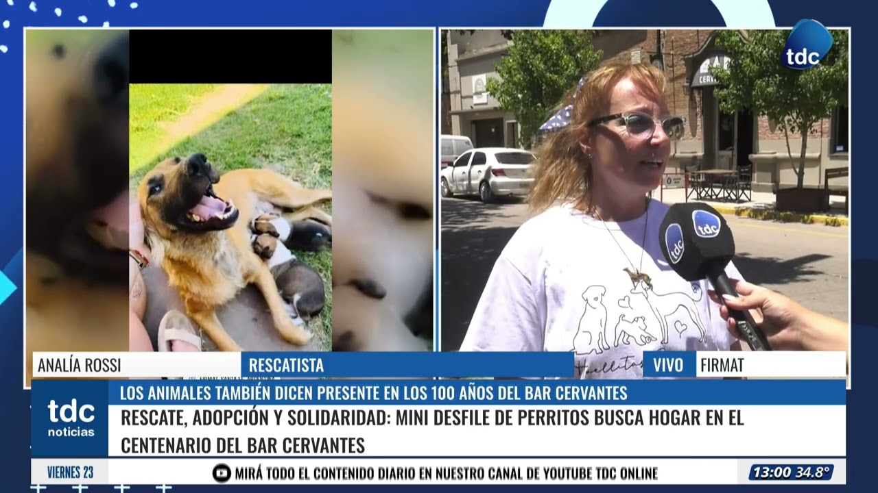 FIRMAT | LOS ANIMALES TAMBIÉN DICEN PRESENTE EN LOS 100 AÑOS DEL BAR CERVANTES
