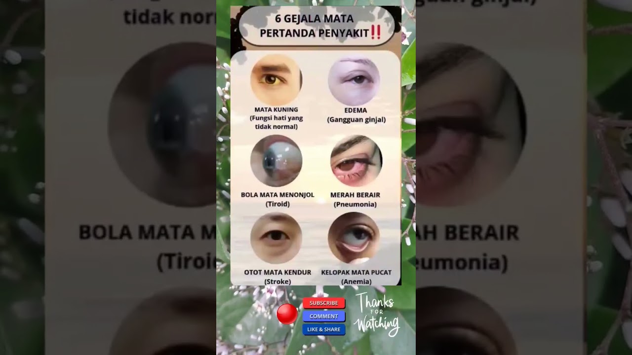 6 tanda mata #shortsviral #tipspraktis #tipsrumahtangga