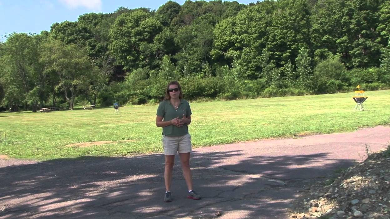 Peddocks Isand Restoration (Ep:1 of 