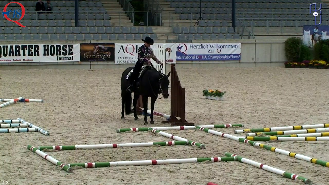 Q18 Trail Amt