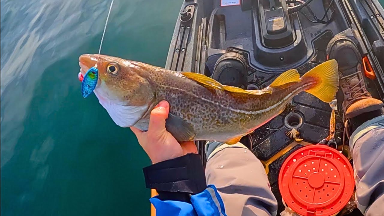 Jigging For Cod, Hot Bite! Rhode Island Kayak Fishing 2023