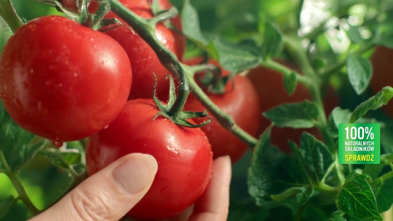 Knorr - Naturalnie smaczne!