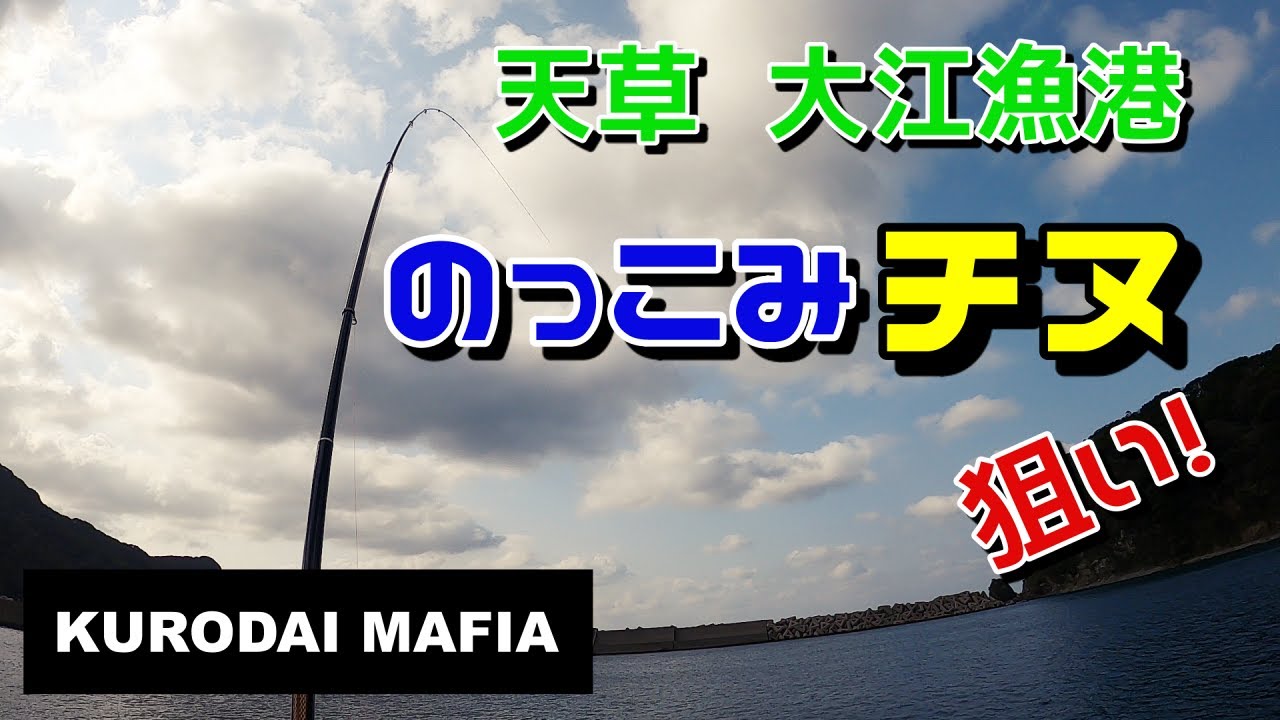 【天草】大江漁港 のっこみチヌ狙い！