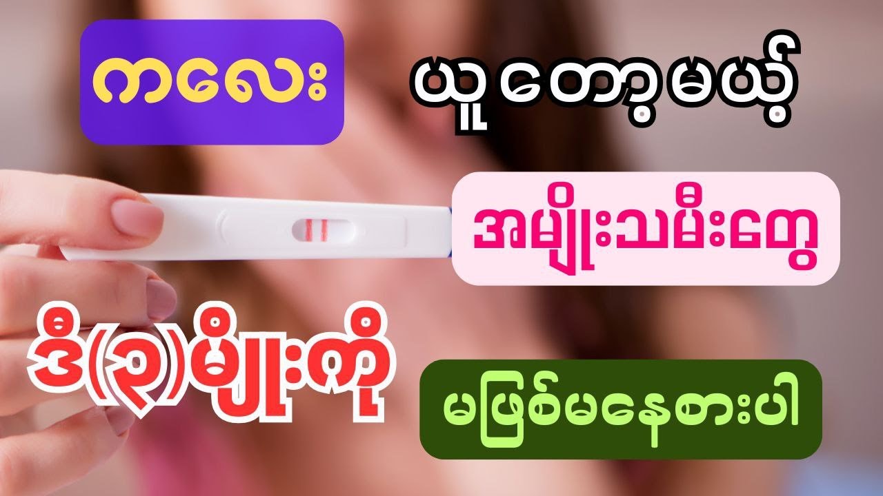 မျိုးပွားခြင်းအတွက် ဆေးဖြစ်စေနိုင်သော အစားအစာများ
