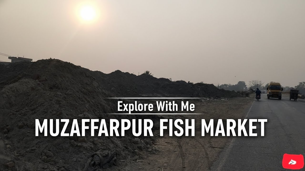 Explore with me Muzaffarpur fish market 🛣️😊😊@baby_Hafsa_Ansari