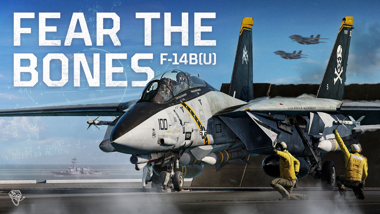 DCS F-14B(U) Бой за пределами прямой видимости | Digital Combat Simulator | Heatblur