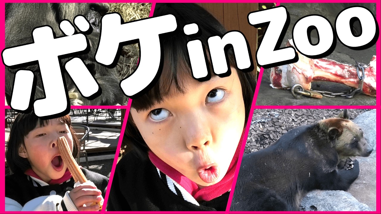 チマリのボケ散歩【上野動物園編】ボケてツッコむロケ企画。