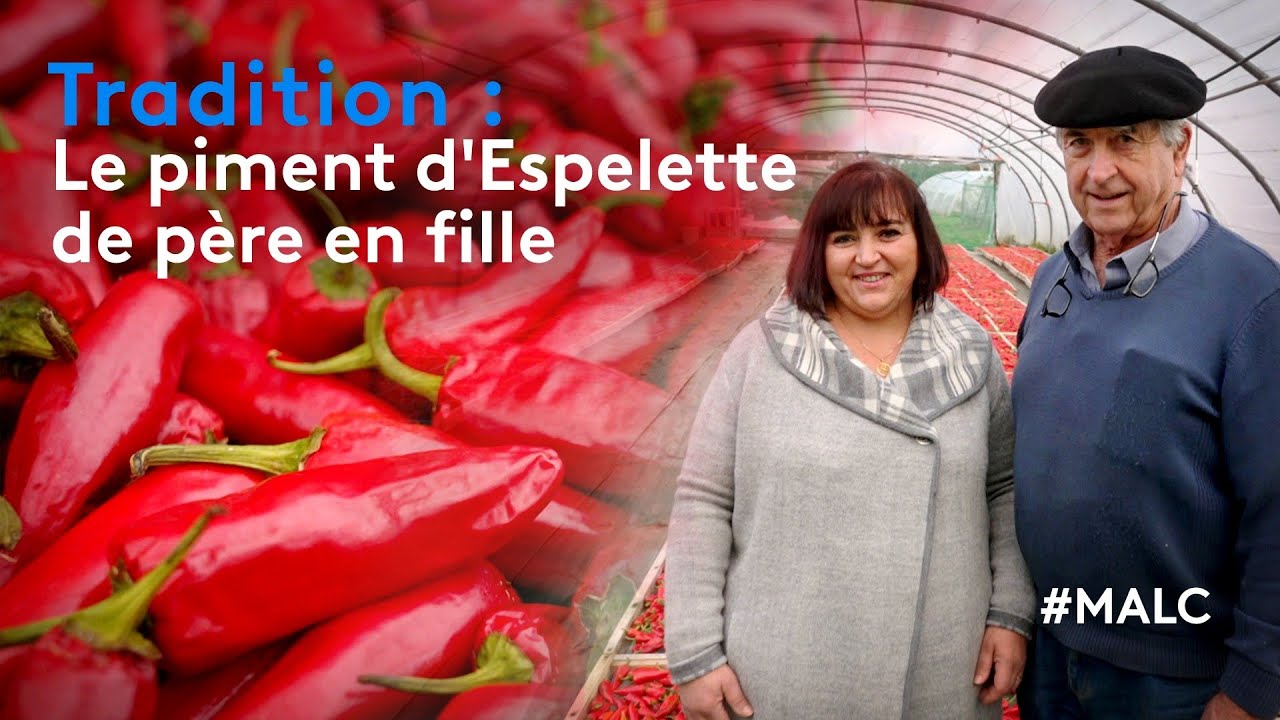 Tradition : le piment d'Espelette de père en fille