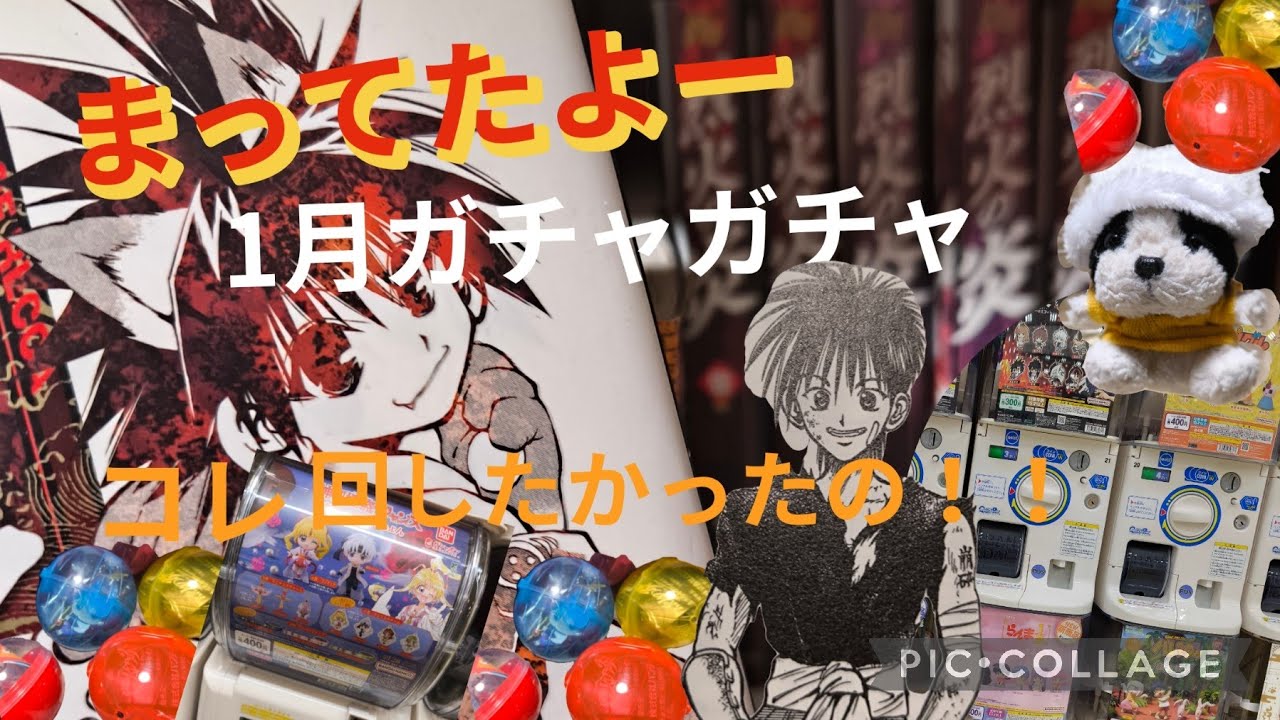 1月ガチャ紹介‼️雪にも負けず回したよ‼️