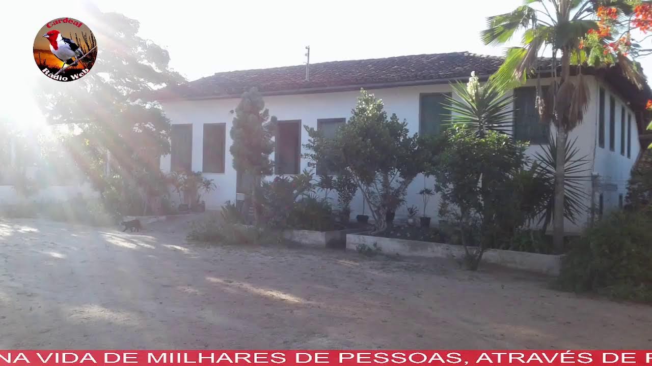 O NORDESTE DANTA COMIGO (TOIN DA TRAÍRA)