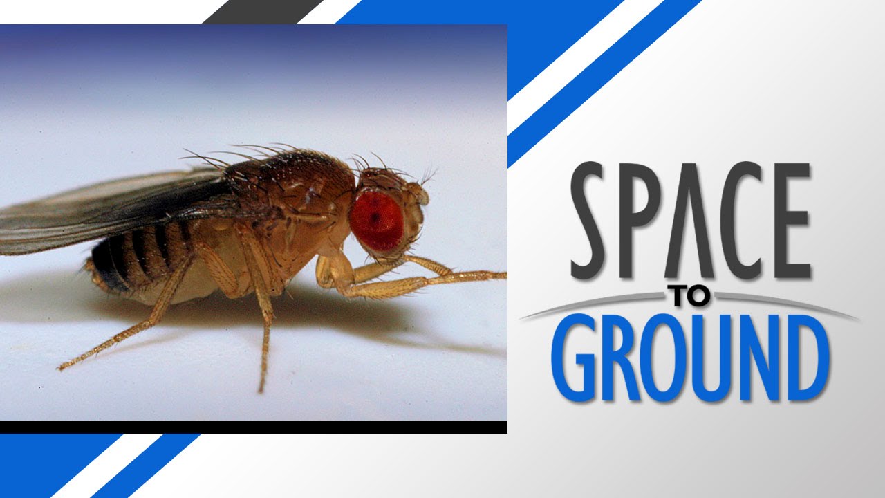 Space to Ground: 
