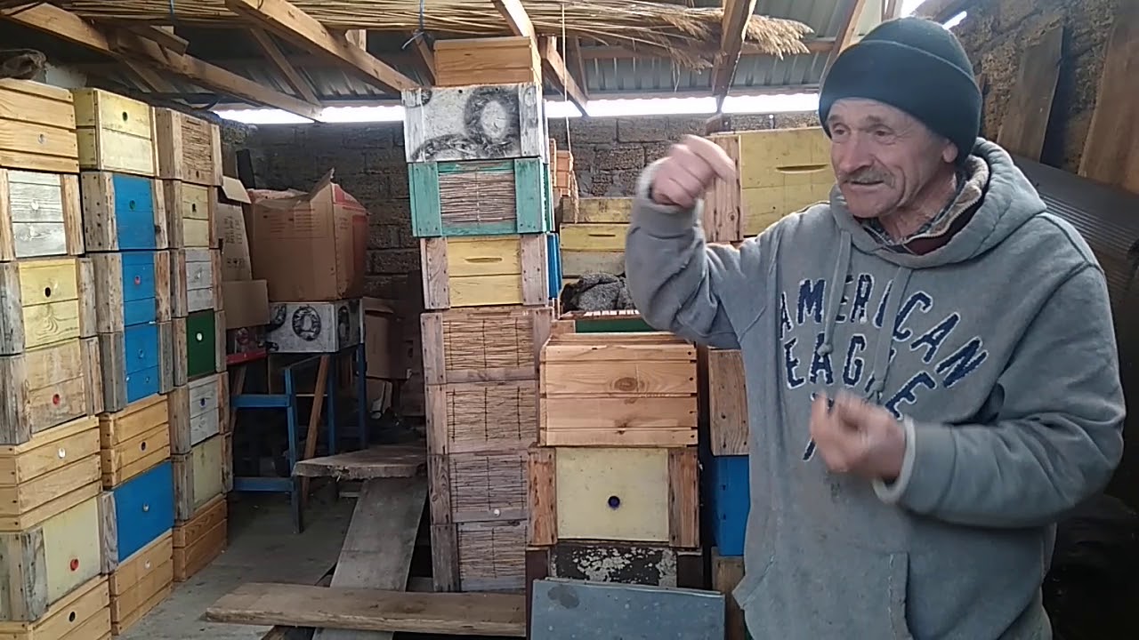 Утримання бджіл на великопольську рамку.(ч. 1)