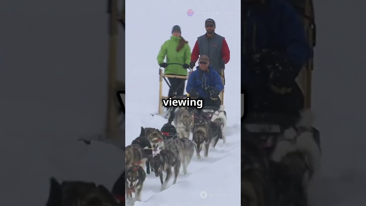 Kenai Peninsula vs Anchorage #alaska