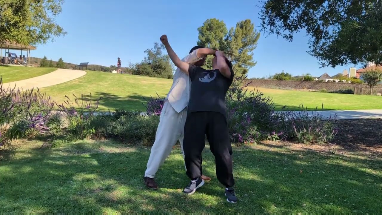 Does Tai Chi Have a Jab? High Pat Horse Applications Revealed